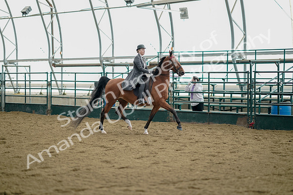 July 21, 2019 - 01695