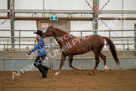 July 19, 2019 - 1297