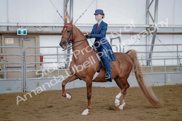 July 21, 2019 - 04669