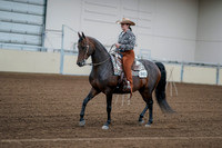 2020 - AB Morgan Horse - Fri, Sept 04 - 00050