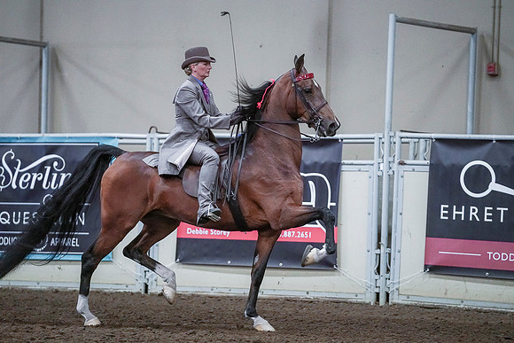 Spring Fling - Saturday - April 20, 2019  -  00505