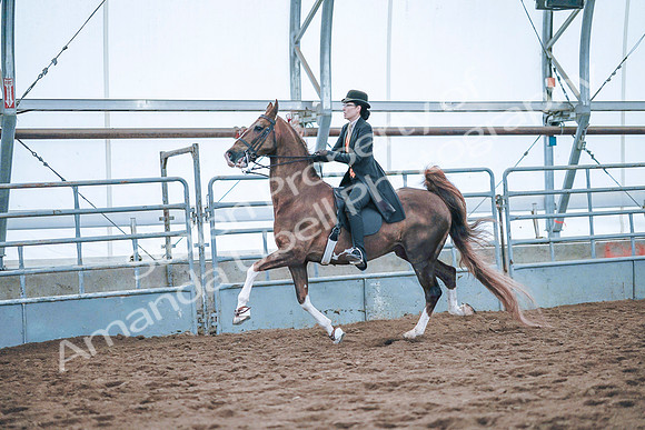 July 20, 2019 - 24036