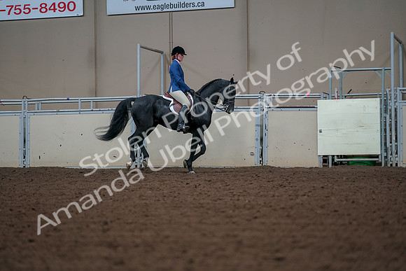 2019 Morgan Horse Show - Aug 30, 2019 - 18611