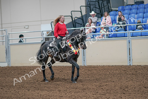 2020 - AB Morgan Horse - Sat, Sept 05 - 10506