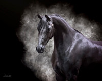 May 19 2017 - 8468