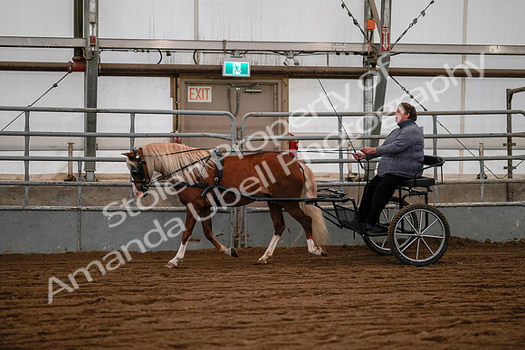 July 19, 2019 - 7071