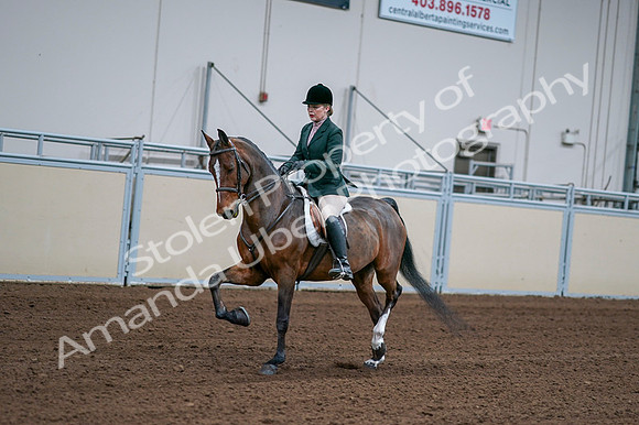 2020 - AB Morgan Horse - Fri, Sept 04 - 01691