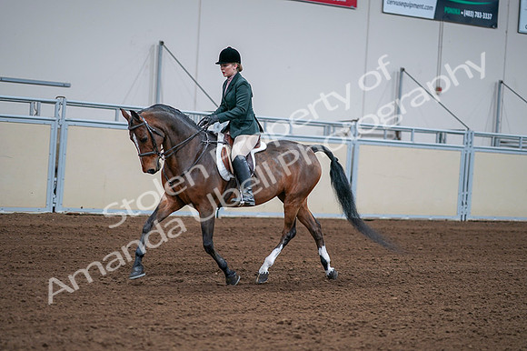 2020 - AB Morgan Horse - Fri, Sept 04 - 01695