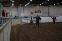 2019 Morgan Horse Show - Aug 31, 2019 - 00830