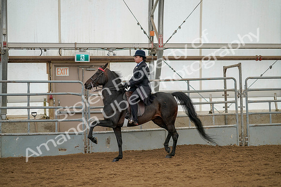 July 20, 2019 - 04350
