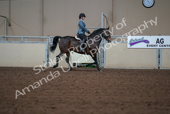 2019 Morgan Horse Show - Aug 30, 2019 - 18522