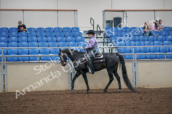 2019 Morgan Horse Show - Aug 30, 2019 - 16742