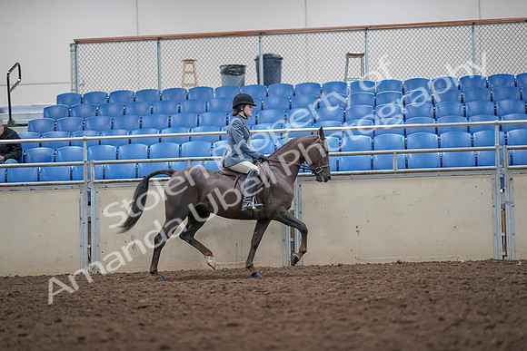 2019 Morgan Horse Show - Aug 31, 2019 - 16743