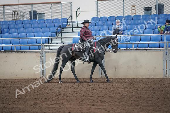 2019 Morgan Horse Show - Aug 31, 2019 - 10748