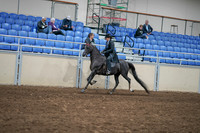 2020 - AB Morgan Horse - Sat, Sept 05 - 00826