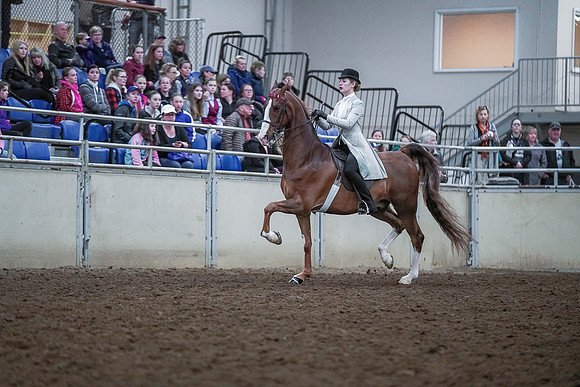 Spring Fling - Saturday - April 20, 2019  -  00448