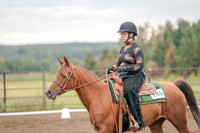 2019 Morgan Horse Show - Aug 30, 2019 - 00213