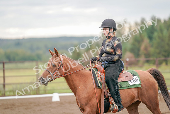 2019 Morgan Horse Show - Aug 30, 2019 - 00213