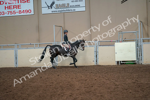 2019 Morgan Horse Show - Aug 30, 2019 - 12353