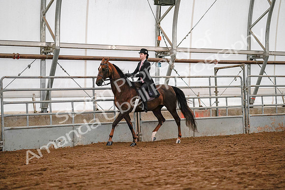 July 19, 2019 - 8768