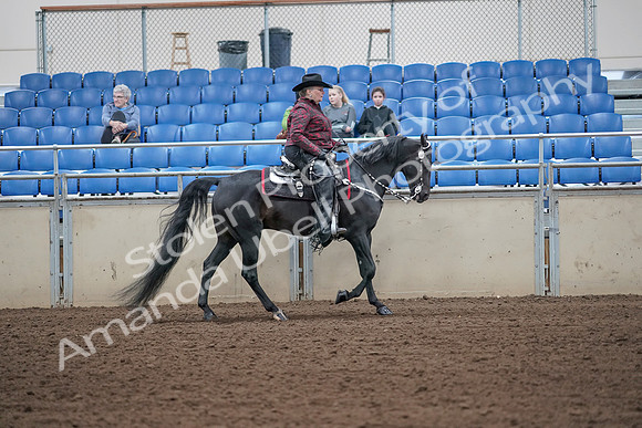 2019 Morgan Horse Show - Aug 31, 2019 - 10679