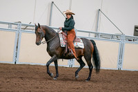 2020 - AB Morgan Horse - Sun, Sept 06 - 01551