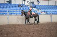 2019 Morgan Horse Show - Sept 01, 2019 - 05727
