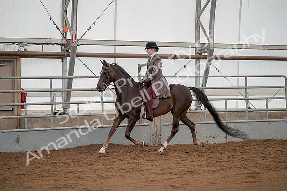 July 20, 2019 - 04243
