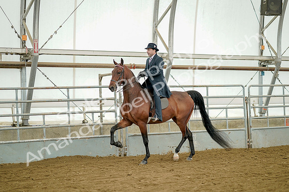 July 20, 2019 - 07360