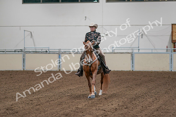 2020 - AB Morgan Horse - Fri, Sept 04 - 08504