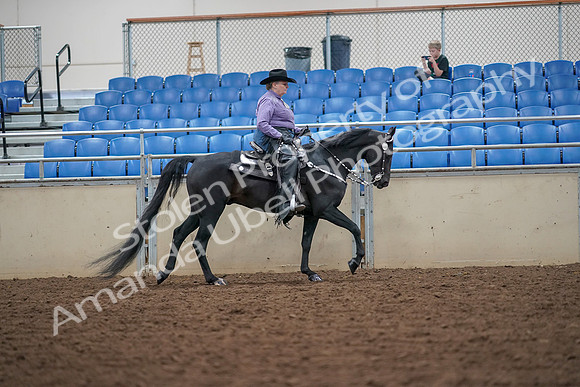 2019 Morgan Horse Show - Aug 30, 2019 - 16937