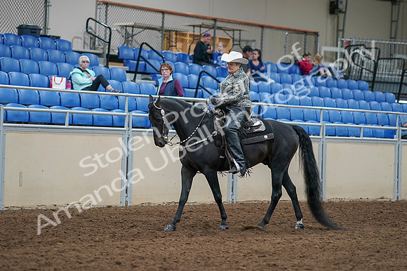 2020 - AB Morgan Horse - Fri, Sept 04 - 03511