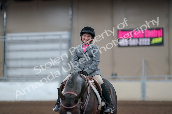 2019 Morgan Horse Show - Aug 31, 2019 - 19737