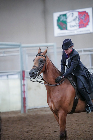 Spring Fling - Saturday - April 20, 2019  -  00843