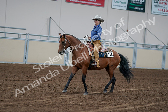 2020 - AB Morgan Horse - Fri, Sept 04 - 00151