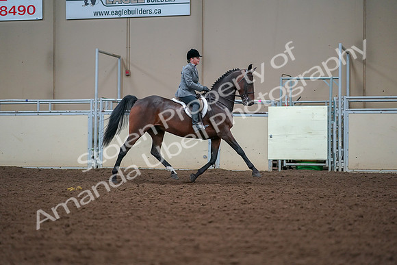 2019 Morgan Horse Show - Aug 30, 2019 - 20936
