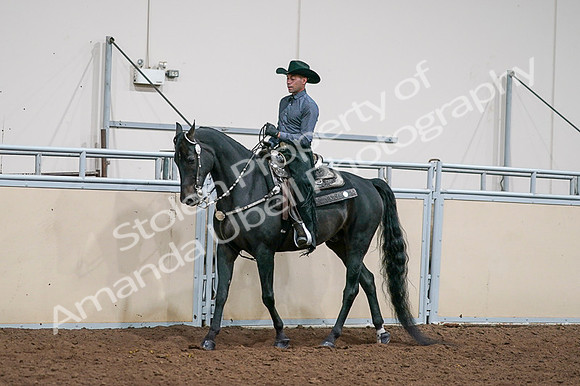 2020 - AB Morgan Horse - Fri, Sept 04 - 08526