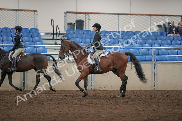 2019 Morgan Horse Show - Aug 31, 2019 - 04941