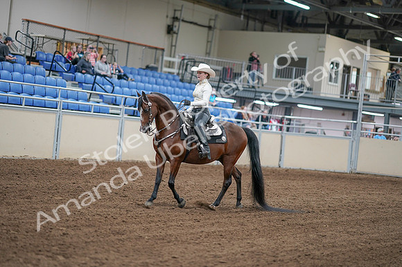 2020 - AB Morgan Horse - Fri, Sept 04 - 08257