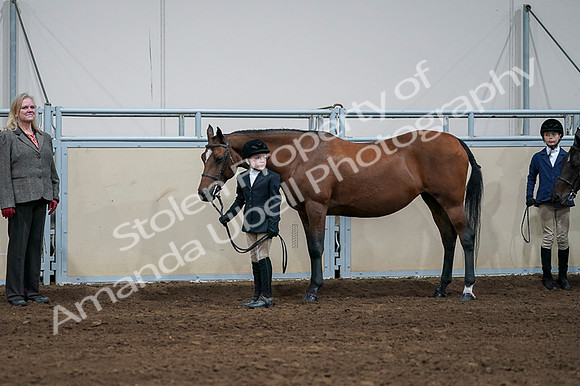 2020 - AB Morgan Horse - Fri, Sept 04 - 00822