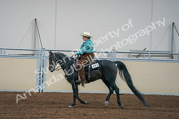 2020 - AB Morgan Horse - Fri, Sept 04 - 00602