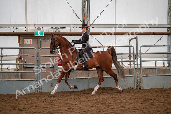 July 19, 2019 - 10350