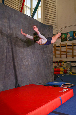 Airdrie Edge Gymnastics Club 2018 Sat Feb 24 - 0115