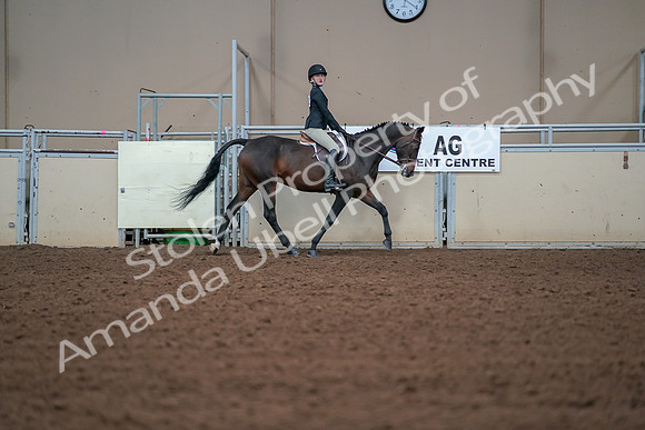 2019 Morgan Horse Show - Aug 30, 2019 - 20685