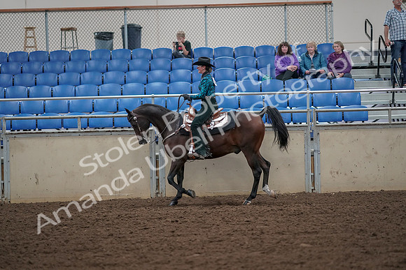 2019 Morgan Horse Show - Aug 30, 2019 - 25915