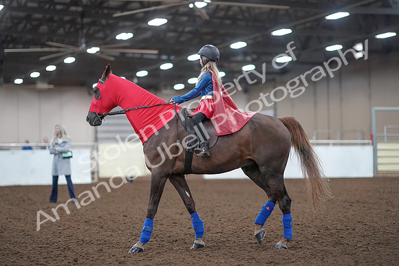 2019 Morgan Horse Show - Aug 31, 2019 - 10078