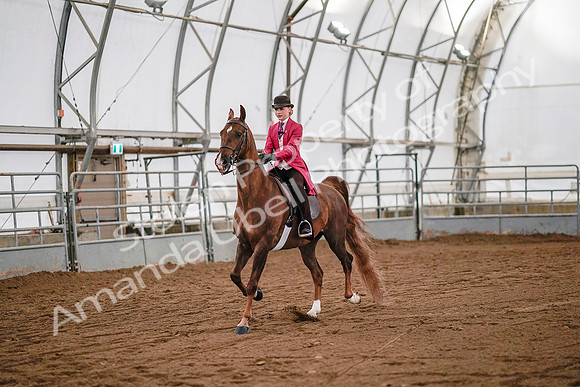 July 19, 2019 - 8808