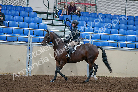 2020 - AB Morgan Horse - Fri, Sept 04 - 01510
