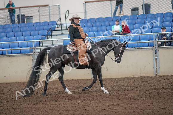 2019 Morgan Horse Show - Aug 31, 2019 - 06207