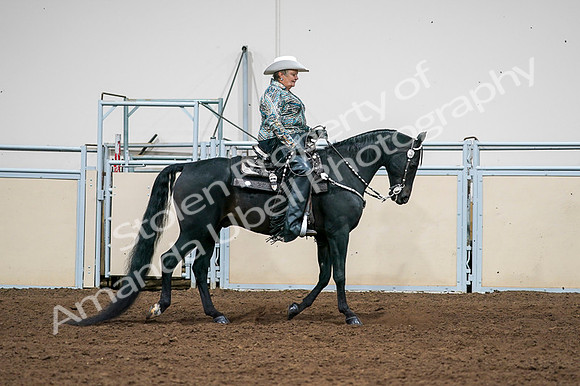 2020 - AB Morgan Horse - Fri, Sept 04 - 03534
